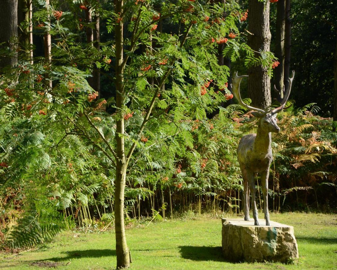 Hollicarrs - Honeycomb Lodge York Kültér fotó
