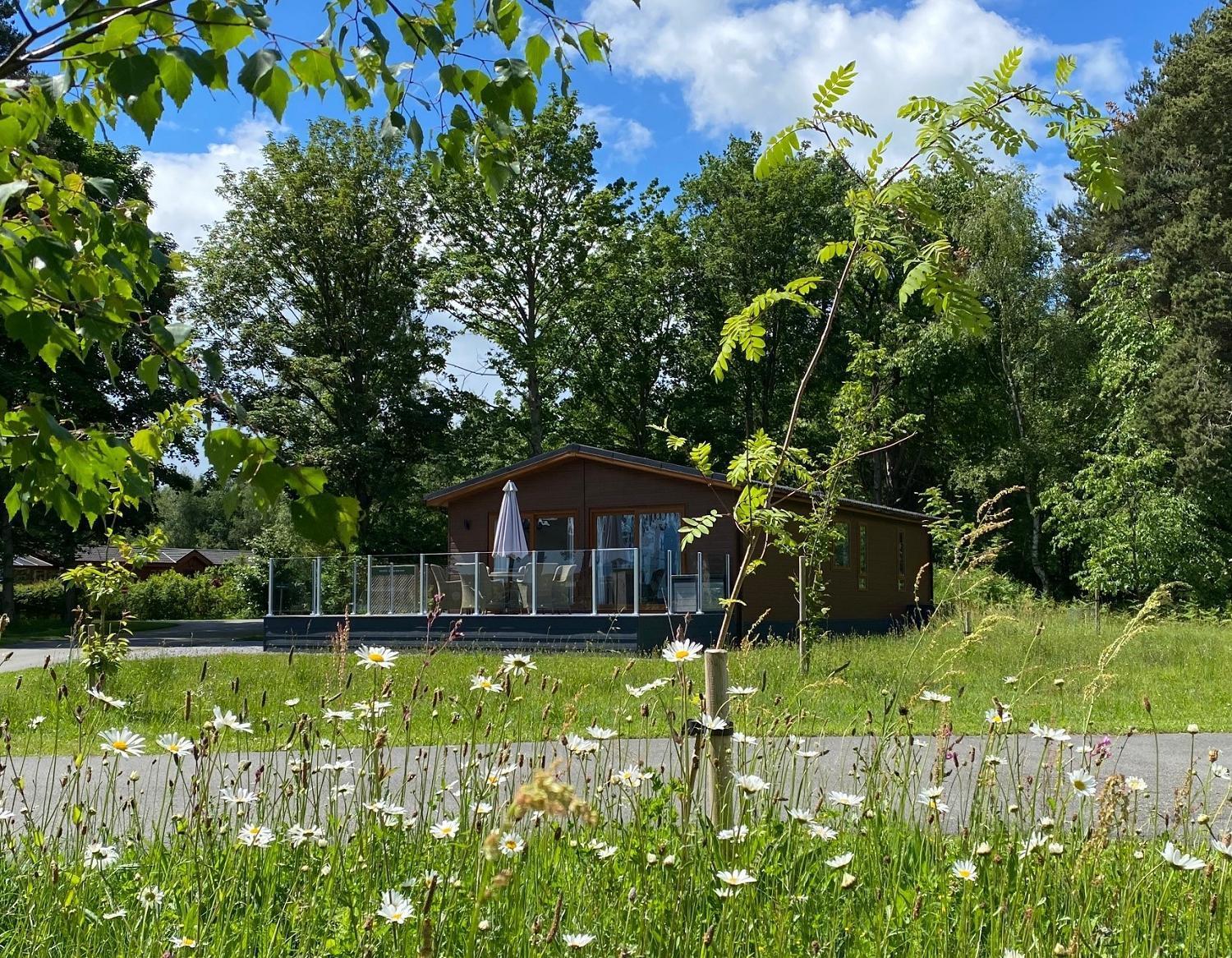 Hollicarrs - Honeycomb Lodge York Kültér fotó